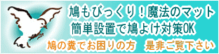 ���悯�}�b�g